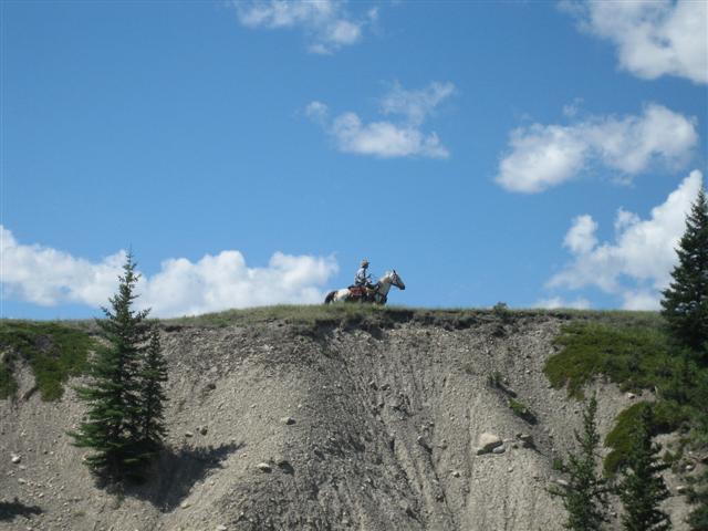 Red Lodge Working Ranch Vacation rider on ridge