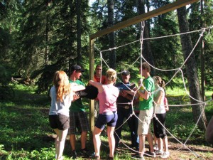 Element Activity Series