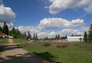 Red Lodge Guest Ranch